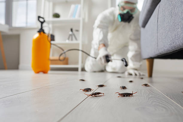 Commercial Kitchen Cockroach Control in Westhampton Beach